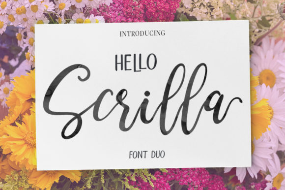 Why Hello Scrilla Script is Your New Secret Weapon for Branding